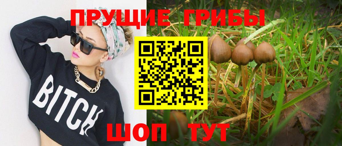 Кстово  Псилоцибиновые грибы мицелий  Вход с VPN 