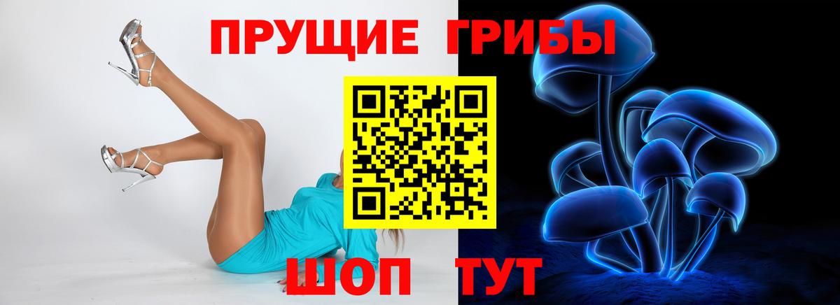 Псилоцибиновые грибы Psilocybine cubensis Кстово